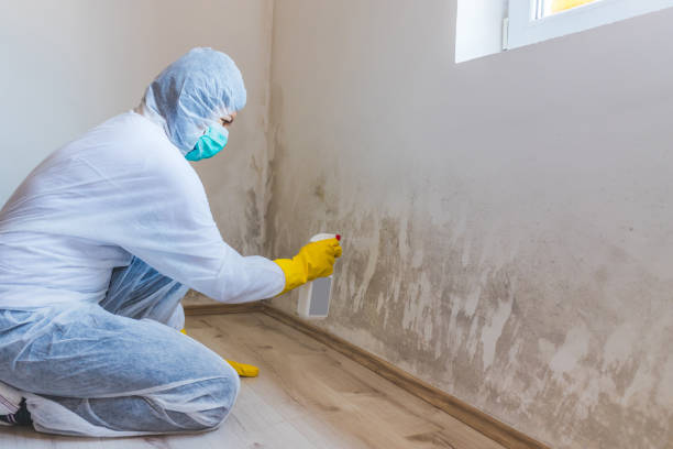 Licensed Mold Removal service in Concord, NC - WQB Mold Removal