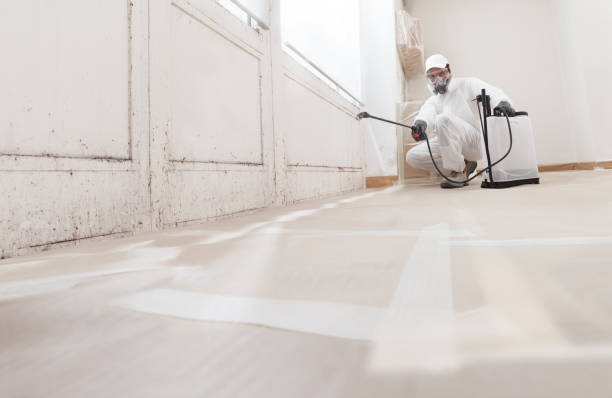 24/7 Emergency Mold Removal experts in Concord, NC