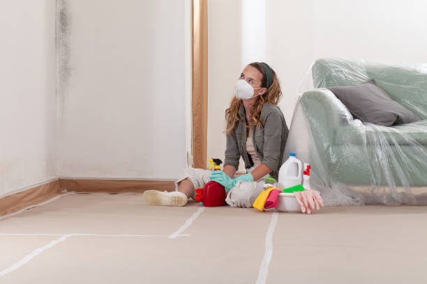 Trusted Mold Removal service in Concord, NC - WQB Mold Removal